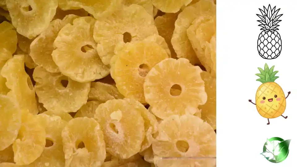 Commercial presentation of Dried Pineapple for wholesale product evaluation and buyer review.